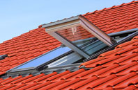 Foals Green roof window